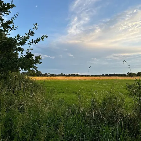 別荘 Tiny House Im Gruenen 101 - Terrasse, Wlan, Wiesenblick *